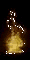 Salida